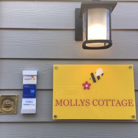 Mollys Cottage-The Suite On Vancouver Island Near Yyj Airport And The Wa And Bc Ferries North Saanich Exterior photo